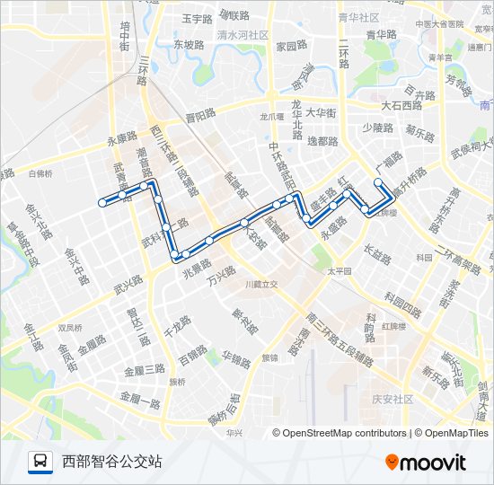 公交242路的线路图