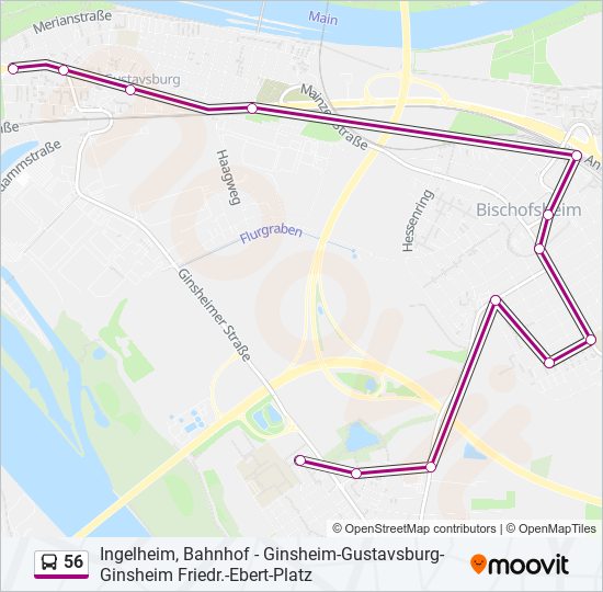 Route Fahrpl Ne Haltestellen Karten Ginsheim Gustavsburg