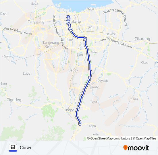 Rute Transjabodetabek Grogol Ciawi Jadwal Pemberhentian Peta