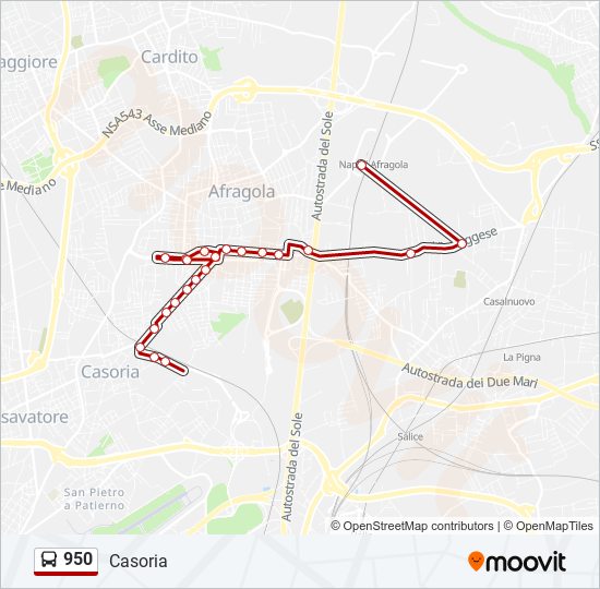 Linea 950 Orari Fermate E Mappe Casoria Aggiornato