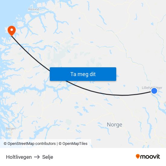 Holtlivegen to Selje map