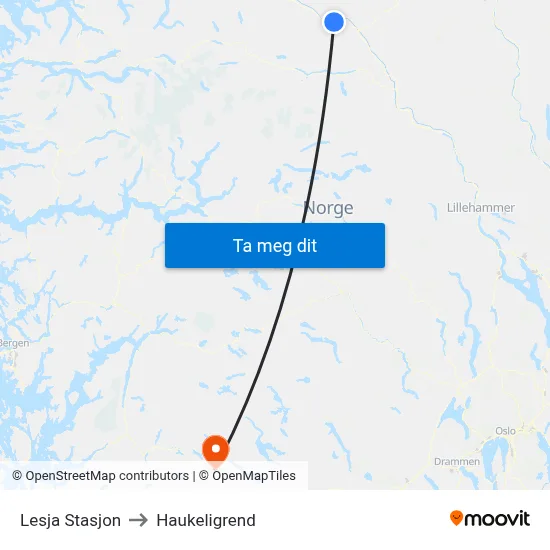 Lesja Stasjon to Haukeligrend map