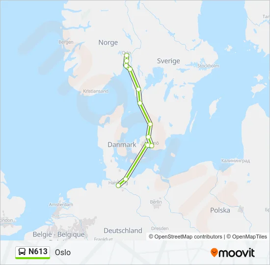 N613 Bus Line Map