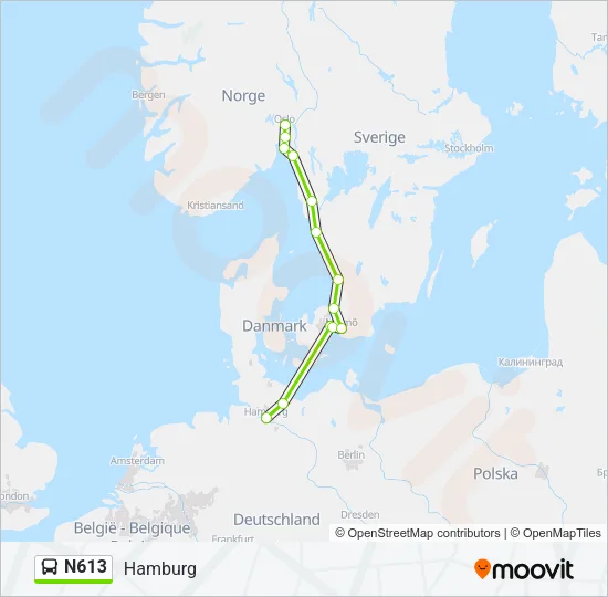 N613 Bus Line Map