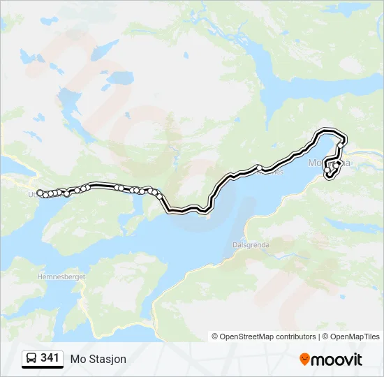 341 Bus Line Map