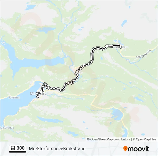 300 Bus Line Map