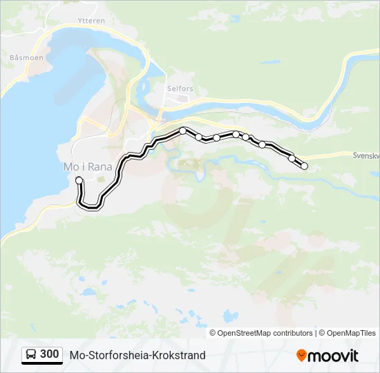 300 Bus Line Map
