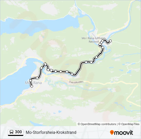 300 Bus Line Map