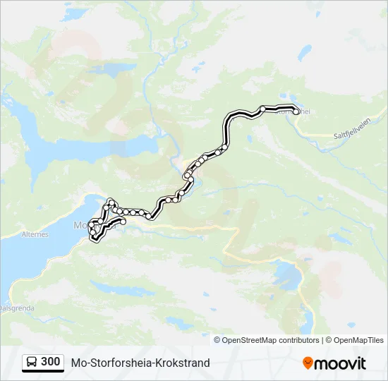 300 Bus Line Map