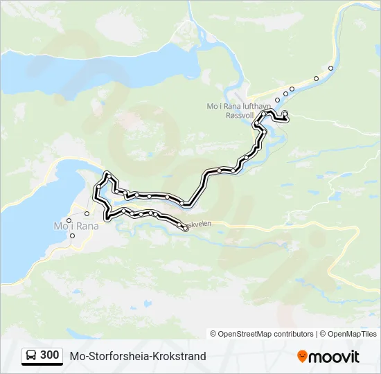 300 Bus Line Map