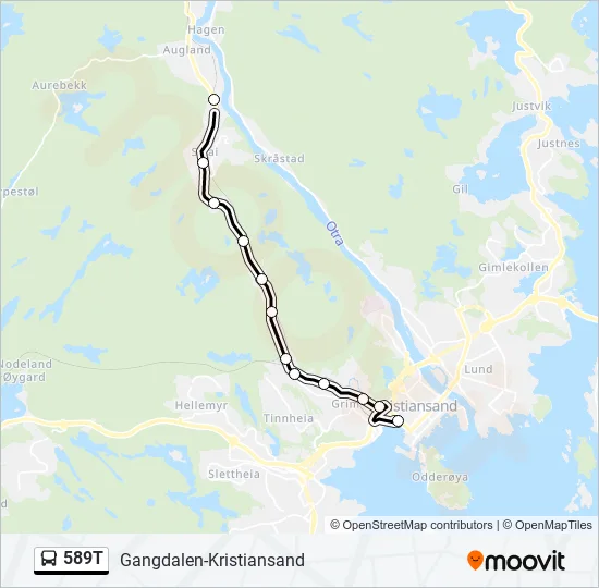 589T Bus Line Map