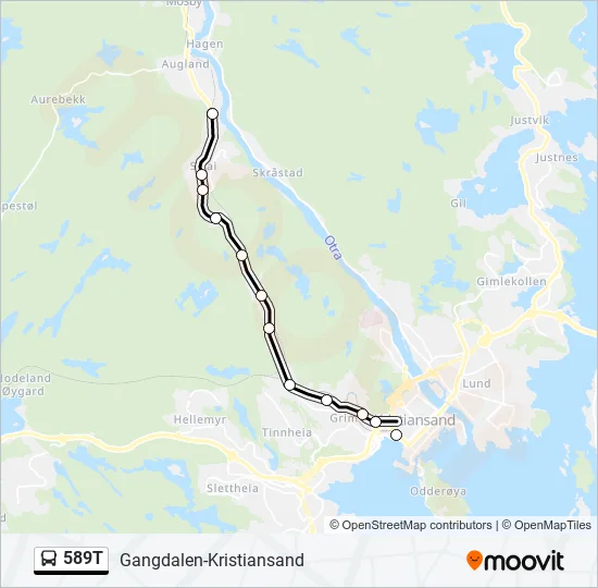 589T Bus Line Map