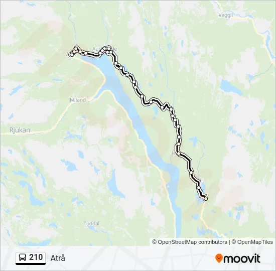 210 Bus Line Map