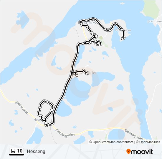 10 Bus Line Map