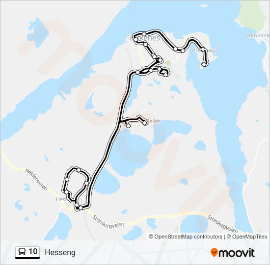 10 Bus Line Map