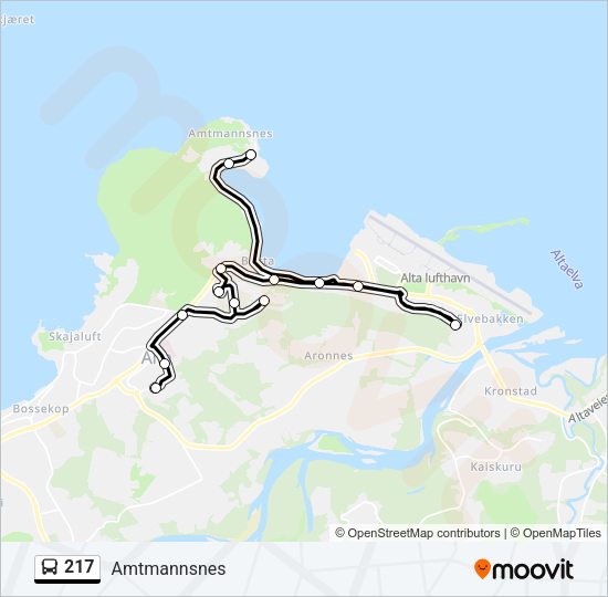 217 Bus Line Map