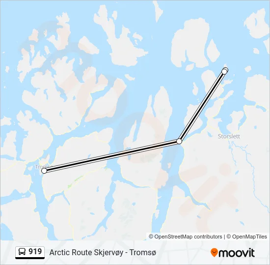 919 Bus Line Map