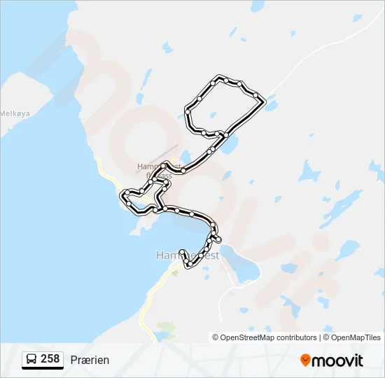 258 Bus Line Map
