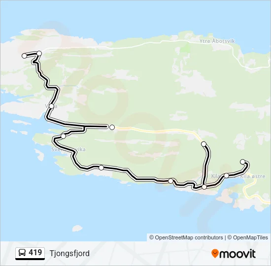 419 Bus Line Map