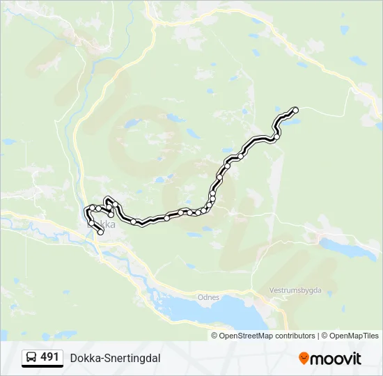 491 Bus Line Map