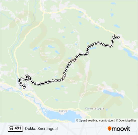 491 bus Line Map