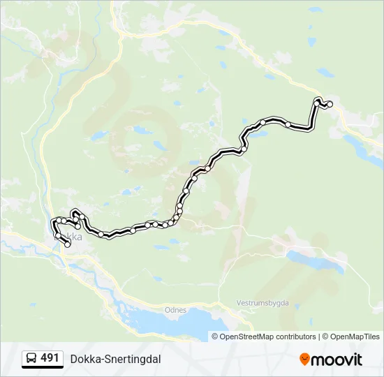 491 Bus Line Map
