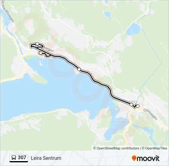 307 Bus Line Map