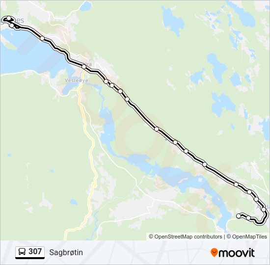 307 Bus Line Map
