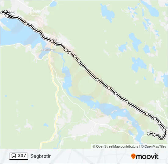 307 Bus Line Map