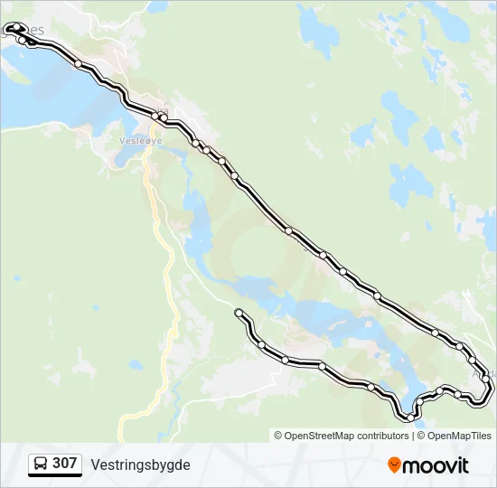 307 Bus Line Map