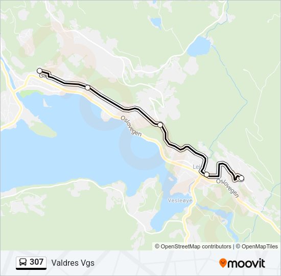 307 Bus Line Map
