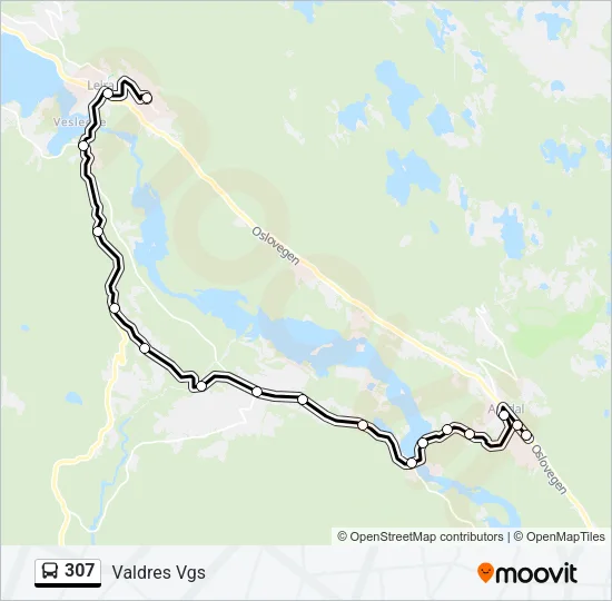 307 Bus Line Map