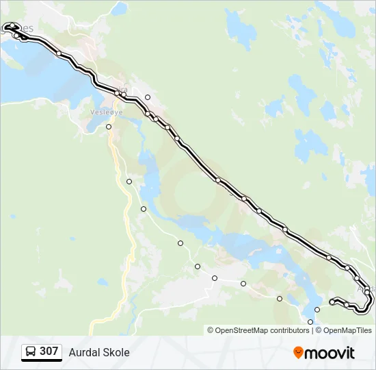 307 Bus Line Map