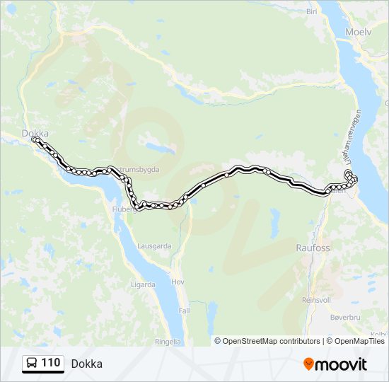 110 Bus Line Map