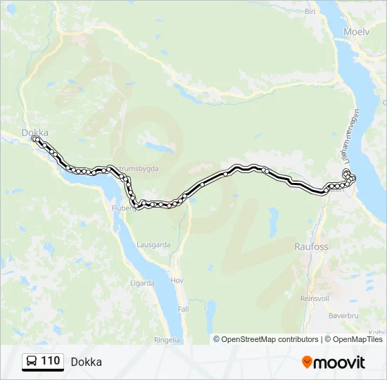 110 Bus Line Map
