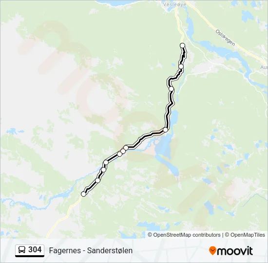 304 Bus Line Map