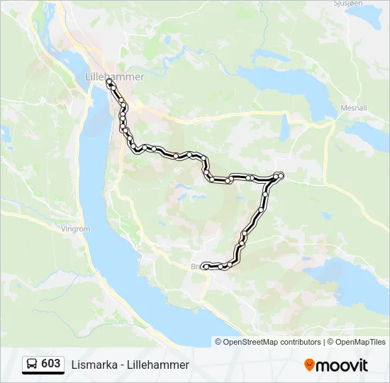603 buss Linjekart