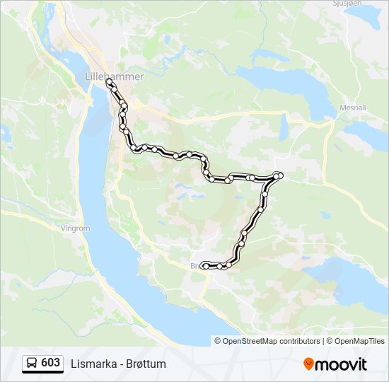 603 bus Line Map