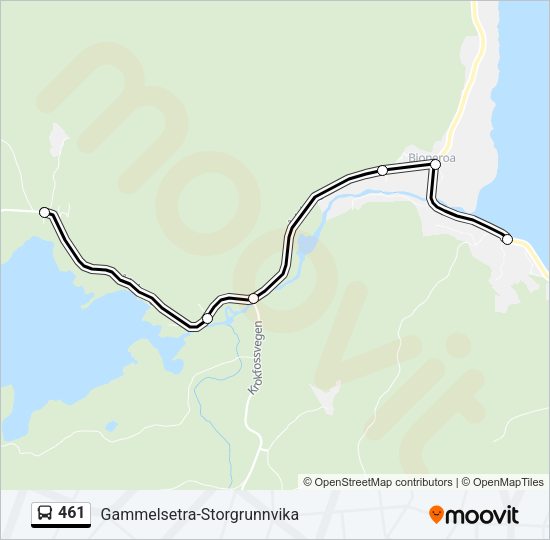 461 Bus Line Map