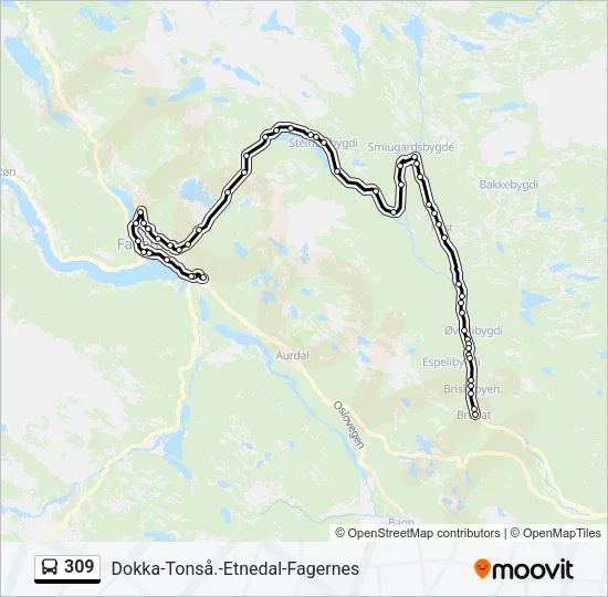 309 Bus Line Map