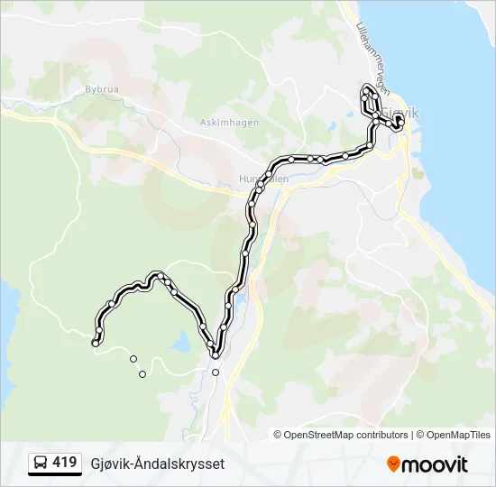 419 Bus Line Map