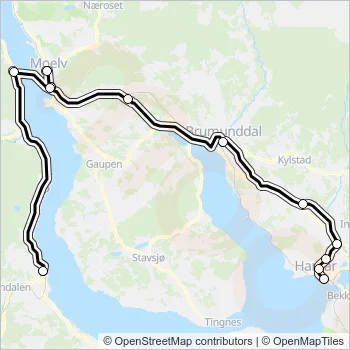 100 Bus Line Map