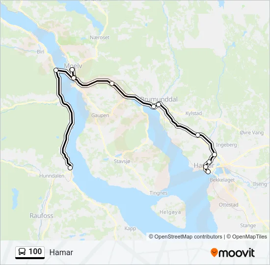 100 Bus Line Map