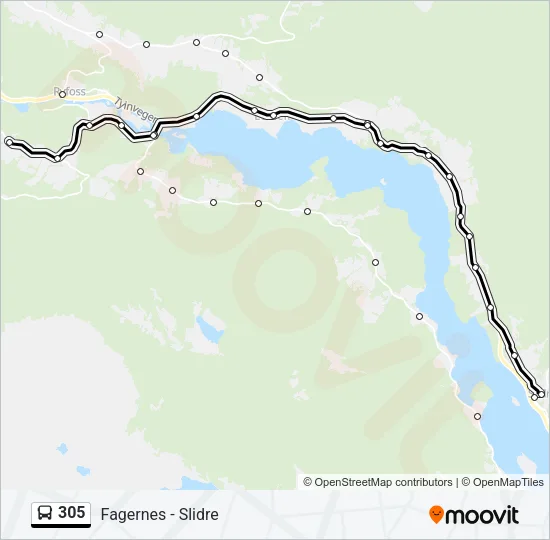305 Bus Line Map