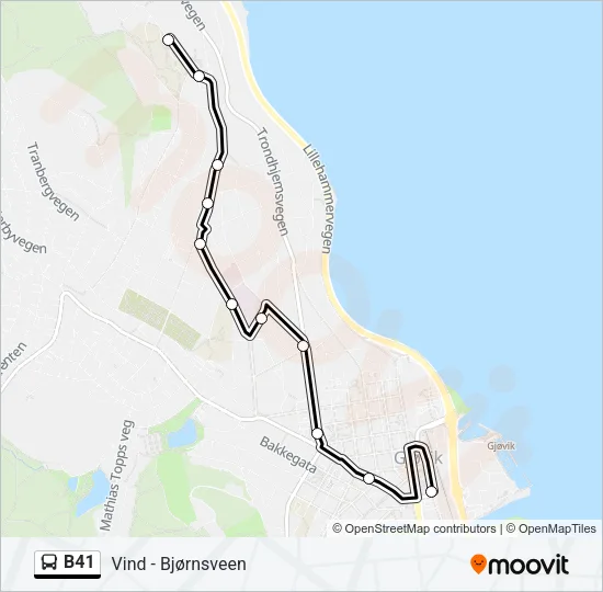 B41 Bus Line Map