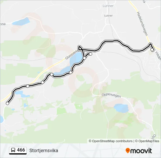 466 Bus Line Map