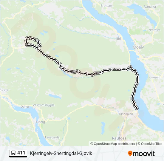411 Bus Line Map