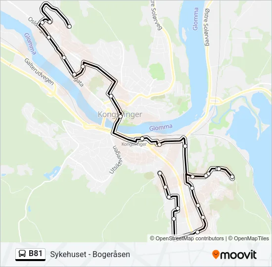 B81 Bus Line Map