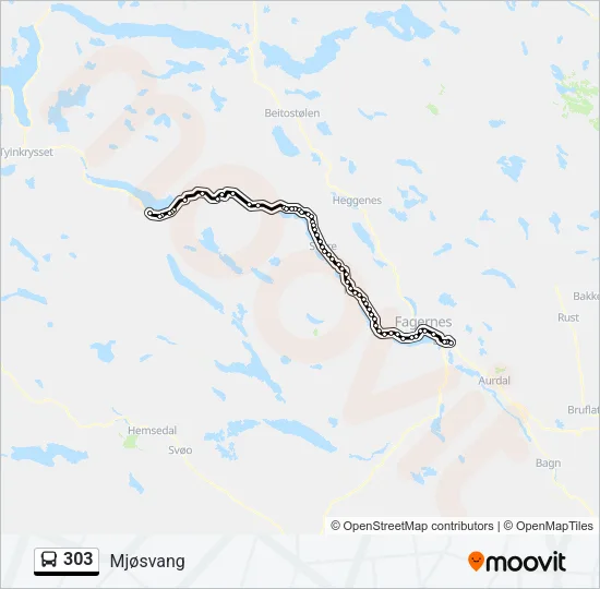 303 Bus Line Map