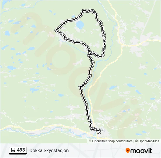 493 Bus Line Map